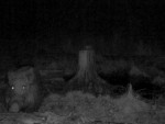 imag0009-ka-1-0-mov_snaps