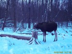 imag0009-lo-dvoe-0-000316