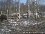 imag0009-zu-shest-novye-0