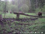 imag0010-zu-6-00-003331-1