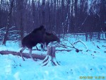 imag0011-lo-dvoe-00-00034