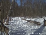 imag0012-ks-2-0-000736-16