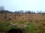 imag0012-vo-0-mov_snapsho