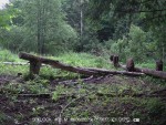 imag0013-zu-3-000158-14-3