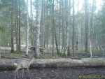 imag0014-ks-samka-0-00295