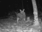imag0014-lo-dvoe-0-003241
