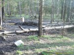 imag0015-ks-samka-i-golub