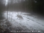 imag0017-li-00-000016-19-