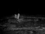 imag0018-ka-0-mov_snapsho