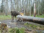 imag0018-lo-samka-0-00349