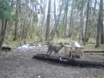 imag0019-ks-samka-0-mov_s