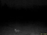 imag0019-li-0-mov_snapsho