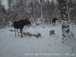 imag0019-lo-dvoe-0-002491