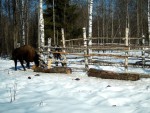 imag0019-mov_snapshot_00-