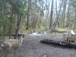 imag0020-ks-samka-i-samec