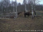 imag0021-zu-pyat-0-000121
