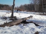 imag0022-be-000016-12-18-