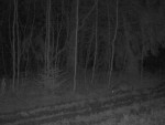imag0023-ens-0-000811-11-