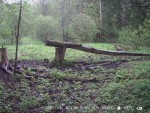 imag0023-ks-samka-i-golub