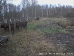 imag0024-zu-2-stada-00-00