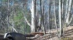 imag0025-ba-0-000540-19-2