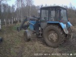imag0025-zu-2-stada-i-voj