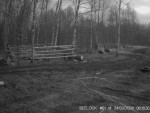 imag0026-me-00-003181-16-