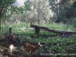 imag0027-ks-samka-i-2-koz