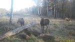 imag0027-lo-samka-i-0