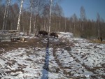imag0028-zu-0-000661-21-0