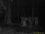 imag0029-lo-dvoe-0-003511