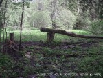 imag0030-ks-samka-0-00241