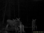 imag0030-lo-samka-i-2-tel