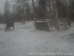imag0030-zu-i-kormushka-0