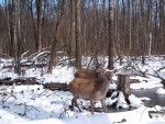 imag0035-ol-2-samki-i-sam