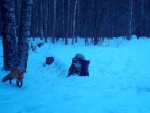 imag0038-li-2-00-mov0