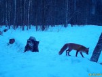 imag0038-li-2-00-mov_snap