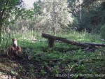 imag0040-ks-samka-i-2-koz