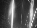 imag0040-vo-3