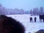 imag0040-zu-stado-0-mov_s