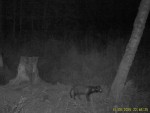 imag0042-ens-0-000241-12-