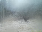 imag0042-zu-1-0-000056-11