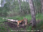 imag0043-ks-samka-0-00183