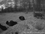 imag0043-zu-lezhat-0-0001