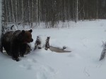 imag0047-me-00-000074-16-
