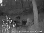 imag0048-ka-001036-14-54-