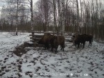 imag0048-zu-6-0-mp4_snaps