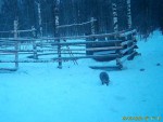imag0050-ens-0-mov_snapsh