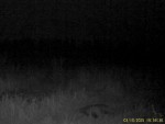 imag0052-ba-2-000-mo0