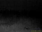 imag0052-ba-2-000-mov_sna